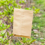 100pcs 6x11cm Kraft Paper Seed Envelopes for Efficient Garden Seed Storage
