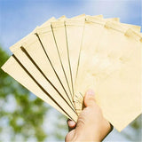 100pcs 6x11cm Kraft Paper Seed Envelopes for Efficient Garden Seed Storage
