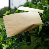 100pcs 6x11cm Kraft Paper Seed Envelopes for Efficient Garden Seed Storage