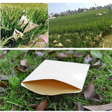 100pcs 6x11cm Kraft Paper Seed Envelopes for Efficient Garden Seed Storage