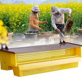 Beekeeping Pollen Trap Box Remover Beehive Collector Tool Plastic Collection Box