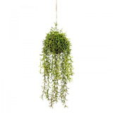 60cm Moss Ball w Senecio Hanging Artificial Plant Flower (with Rope) Fake