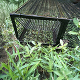 Humane Snake Trap Remove Small to Medium Snakes 2 Doors