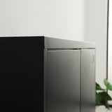 Two-Door Metal Short Cabinet Shelf Storage for Home Office Gym