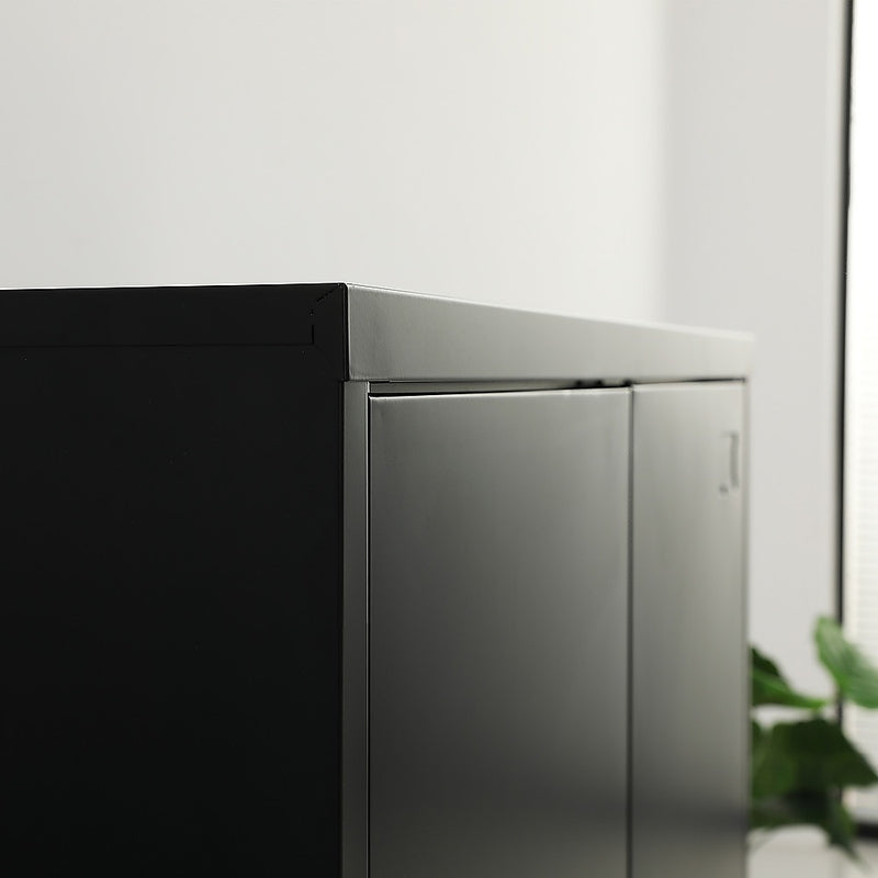 Two-Door Metal Short Cabinet Shelf Storage for Home Office Gym