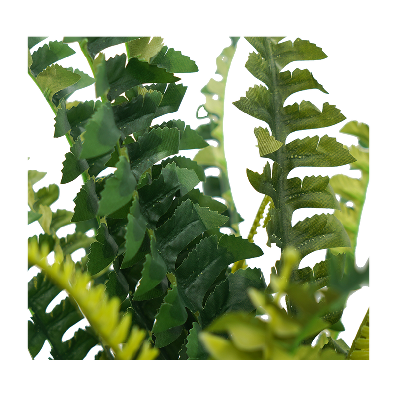 Faux Boston Bush Stem