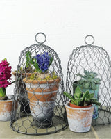 casa-verde-mini-wire-cloche-antique-zinc-cv05164