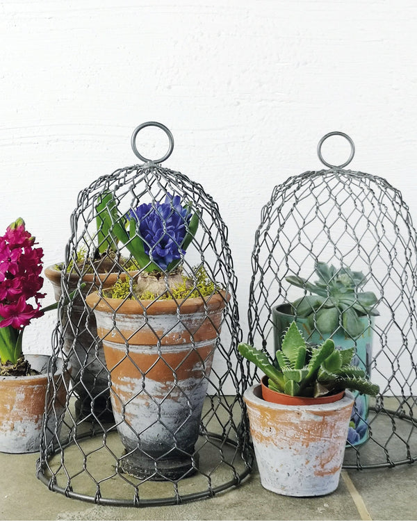 casa-verde-mini-wire-cloche-antique-zinc-cv05164
