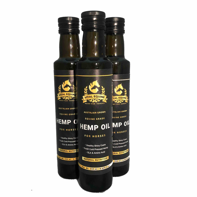 Premium Australian Equine Hemp Oil – Natural Nutritional Support for Horses