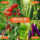 6 Packs Tomato Cages for Garden, 1230 mm Tomato Trellis Plant Stakes Support, Stackable Tall Plant Support Cage, for Raised Garden Bed, Vegetables Flowers and Climbing Plants
