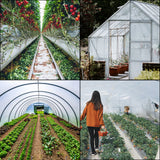 Greenhouse film- Polyethylene Film - 12x25 ft