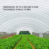 Greenhouse Film - Polyethylene Film - 20x28 ft