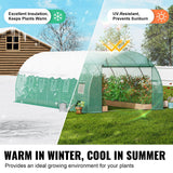 Walk-in Tunnel Greenhouse with Galvanized Steel Frame, PE Cover, Roll-up Zipper Door and 12 Windows | 19.4x9.7x6.5 ft
