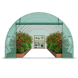 Walk-in Tunnel Greenhouse with Galvanized Steel Frame, PE Cover, Roll-up Zipper Door and 12 Windows | 19.4x9.7x6.5 ft