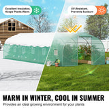 Heavy Duty Walk-in Tunnel Greenhouse - 30ft x 10ft - Galvanized Steel