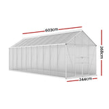 Large 6.03 x 2.44 m aluminium Greenhouse with dimensions marked on a white background
