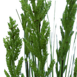 Flowering Native Grass 120 cm
