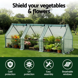Features of mini garden greenhouse with steel frame set up in an Australian backyard or garden