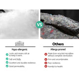 Furniture > Mattresses > Mattress Toppers - Giselle Queen Mattress Topper Pillowtop 1000GSM Microfibre Filling Protector - Garden Yard