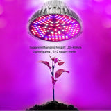 High efficiency grow light bulbs for regular lamps illuminating indoor house plants