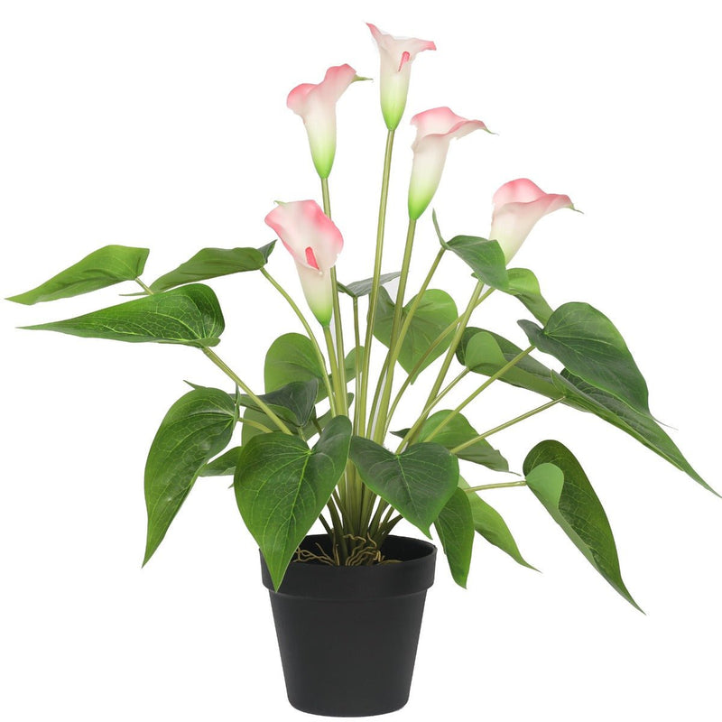 Home & Garden > Artificial Plants > Artifical Flowers & Plants - Artificial Flowering White & Pink Peace Lily / Calla Lily Plant 50cm - Garden Yard