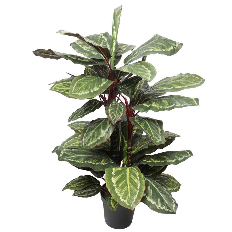 Home & Garden > Artificial Plants > Artifical Flowers & Plants - Artificial Wide Leaf Cordyline Plant 90cm - Garden Yard