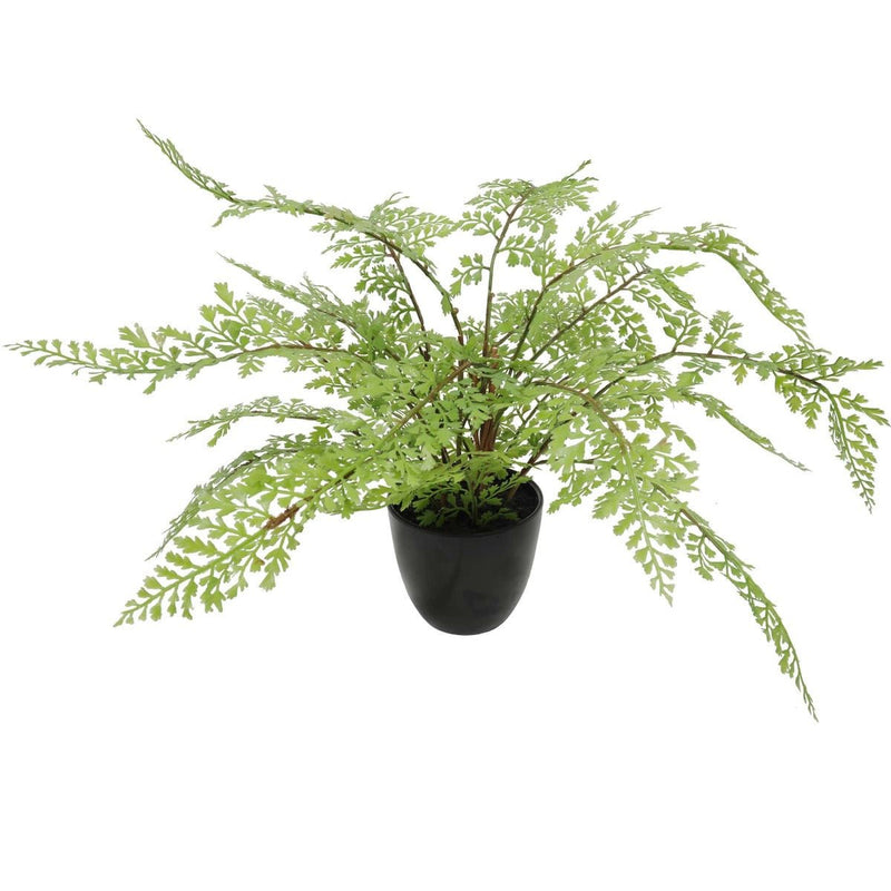 Home & Garden > Artificial Plants > Artifical Flowers & Plants - Faux Small Potted Fern 35cm - Garden Yard