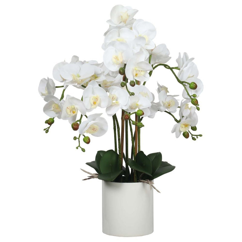 Home & Garden > Artificial Plants > Artifical Flowers & Plants - Large Multi - Stem White Potted Faux Orchid 65cm - Garden Yard