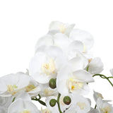 Home & Garden > Artificial Plants > Artifical Flowers & Plants - Large Multi - Stem White Potted Faux Orchid 65cm - Garden Yard