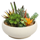 Home & Garden > Artificial Plants > Artifical Flowers & Plants - Potted Artificial Succulent Bowl with Natural Stone Pot 21cm - Garden Yard