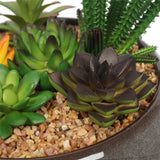 Home & Garden > Artificial Plants > Artifical Flowers & Plants - Potted Artificial Succulents with Round Decorative Bowl 19cm - Garden Yard