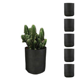 Home & Garden > Garden Beds - 6 Pck 1 Fabric Plant Grow Bags – Durable Non - Woven Felt Pots for Healthy Root Systems & Superior Plant Growth (Tomatoes, Vegetables & More) - Garden Yard