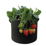 Home & Garden > Garden Beds > Garden Beds & Planters - 6 Pck 10 Gallon Fabric Flower Pots 38L Garden Planter Bags Black Felt Root Pouch - Garden Yard