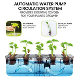 Home & Garden > Garden Beds > Garden Beds & Planters - PLANTCRAFT 12 Pod Indoor Hydroponic Growing System with Bamboo Frame & LED Lights - Garden Yard