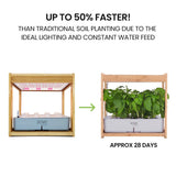 Home & Garden > Garden Beds > Garden Beds & Planters - PLANTCRAFT 12 Pod Indoor Hydroponic Growing System with Bamboo Frame & LED Lights - Garden Yard