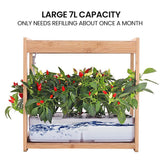 Home & Garden > Garden Beds > Garden Beds & Planters - PLANTCRAFT 12 Pod Indoor Hydroponic Growing System with Bamboo Frame & LED Lights - Garden Yard