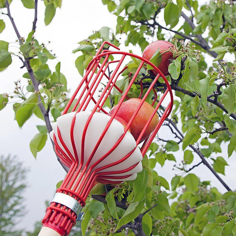 Home & Garden > Garden Tools > Gardening Tools - Fruit picking tool with telescopic pole - stainless steel fruit picking pole, high altitude tree fruit picking tool 1.6m - Garden Yard