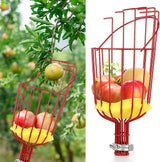 Home & Garden > Garden Tools > Gardening Tools - Fruit picking tool with telescopic pole - stainless steel fruit picking pole, high altitude tree fruit picking tool 1.6m - Garden Yard