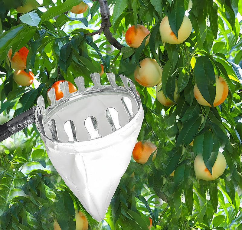 Home & Garden > Garden Tools > Gardening Tools - Telescoping Fruit Picker - Apple, Peach, Persimmon Harvesting Tool with Collection Bag, High Reach Fruit Catcher 1.6m - Garden Yard