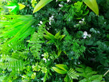 Home & Garden > Garden Tools > Gardening Tools - WILD TROPICS UV STABILISED 1m x 1m - Garden Yard