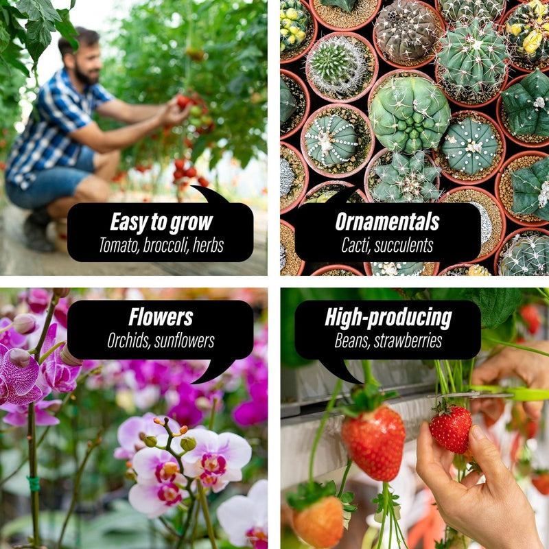 Home & Garden > Greenhouses > Greenhouses & Accessories - Garden Greenhouse Shed PE Cover Only 400cm Dome Tunnel - Garden Yard