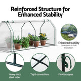 Home & Garden > Greenhouses > Greenhouses & Accessories - Green Fingers Mini Greenhouse PE Cover Green House Roll - Up Zippered Door 1.2x0.5x0.6M - Garden Yard