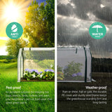 Home & Garden > Greenhouses > Greenhouses & Accessories - Green Fingers Mini Greenhouse PE Cover Green House Roll - Up Zippered Door 1.2x0.5x0.6M - Garden Yard