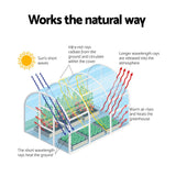Home & Garden > Greenhouses > Greenhouses & Accessories - Green Fingers Mini Greenhouse PE Cover Green House Roll - Up Zippered Door 1.2x0.5x0.6M - Garden Yard