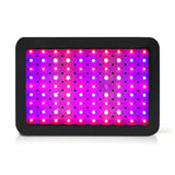 Home & Garden > Greenhouses > Greenhouses & Accessories - Greenfingers 1000W Grow Light LED Full Spectrum Indoor Plant All Stage Growth - Garden Yard