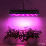 Home & Garden > Greenhouses > Greenhouses & Accessories - Greenfingers 2000W Grow Light LED Full Spectrum Indoor Plant All Stage Growth - Garden Yard