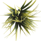 Yellow Tipped Grass Stem - UV Resistant 35cm