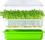 Green seed sprouting tray with drain holes on kitchen bench