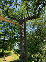 hade sail connected to a pole in Australian outdoors