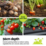 Steel corrugated garden bed filled with soil growing tomatoes, spinach, and herbs